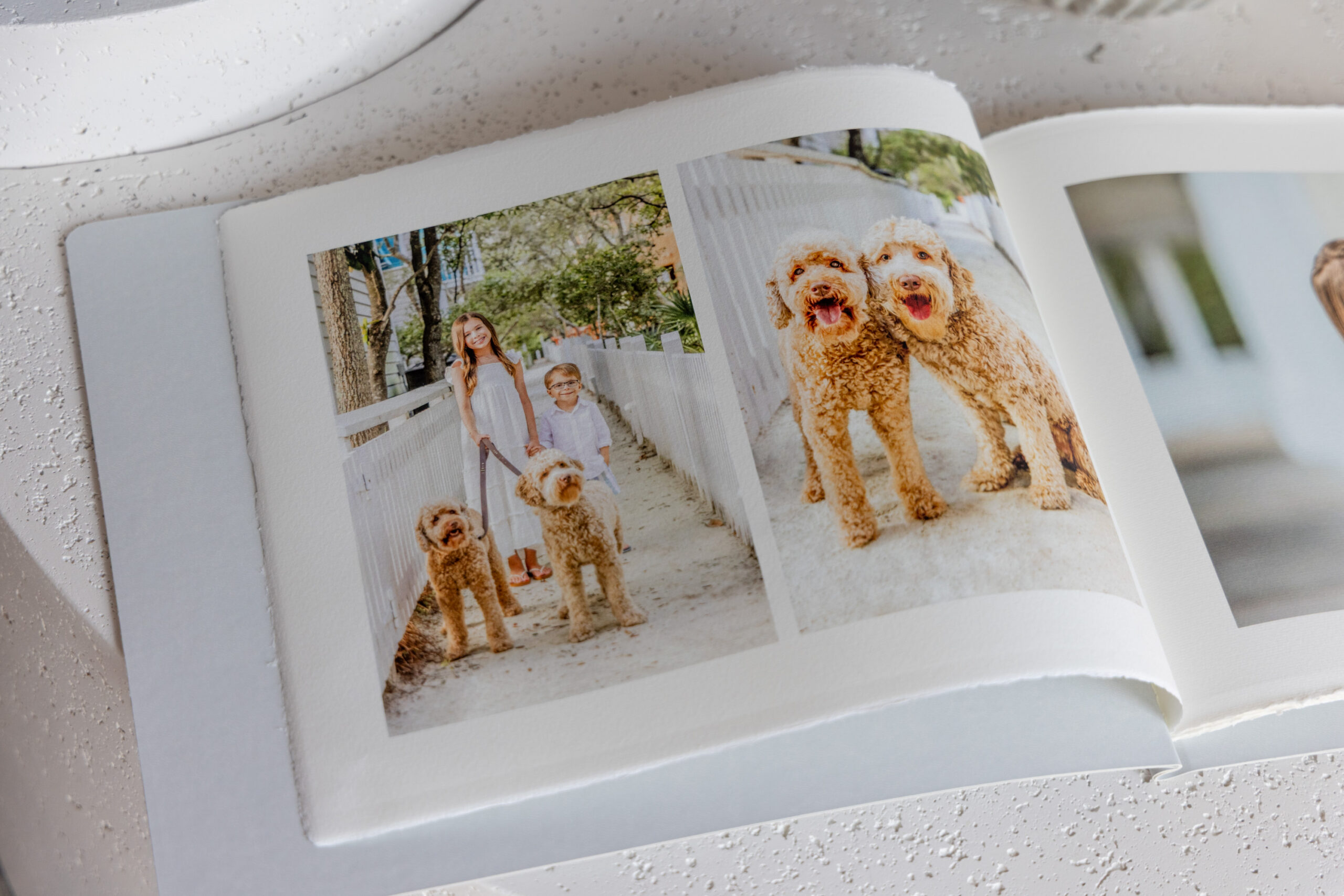 Seaside FL family photographer