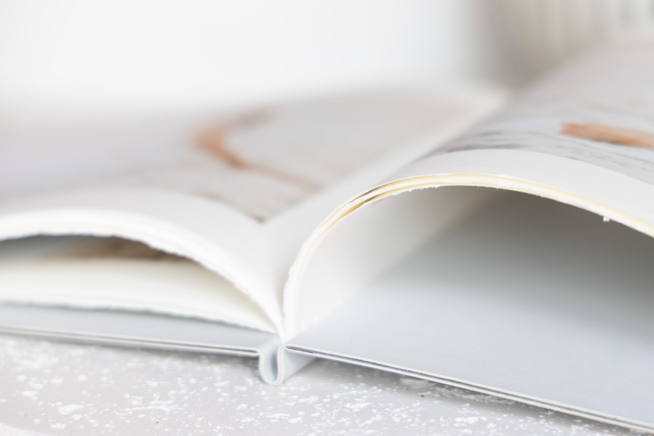 Santa Rosa Beach family photographer